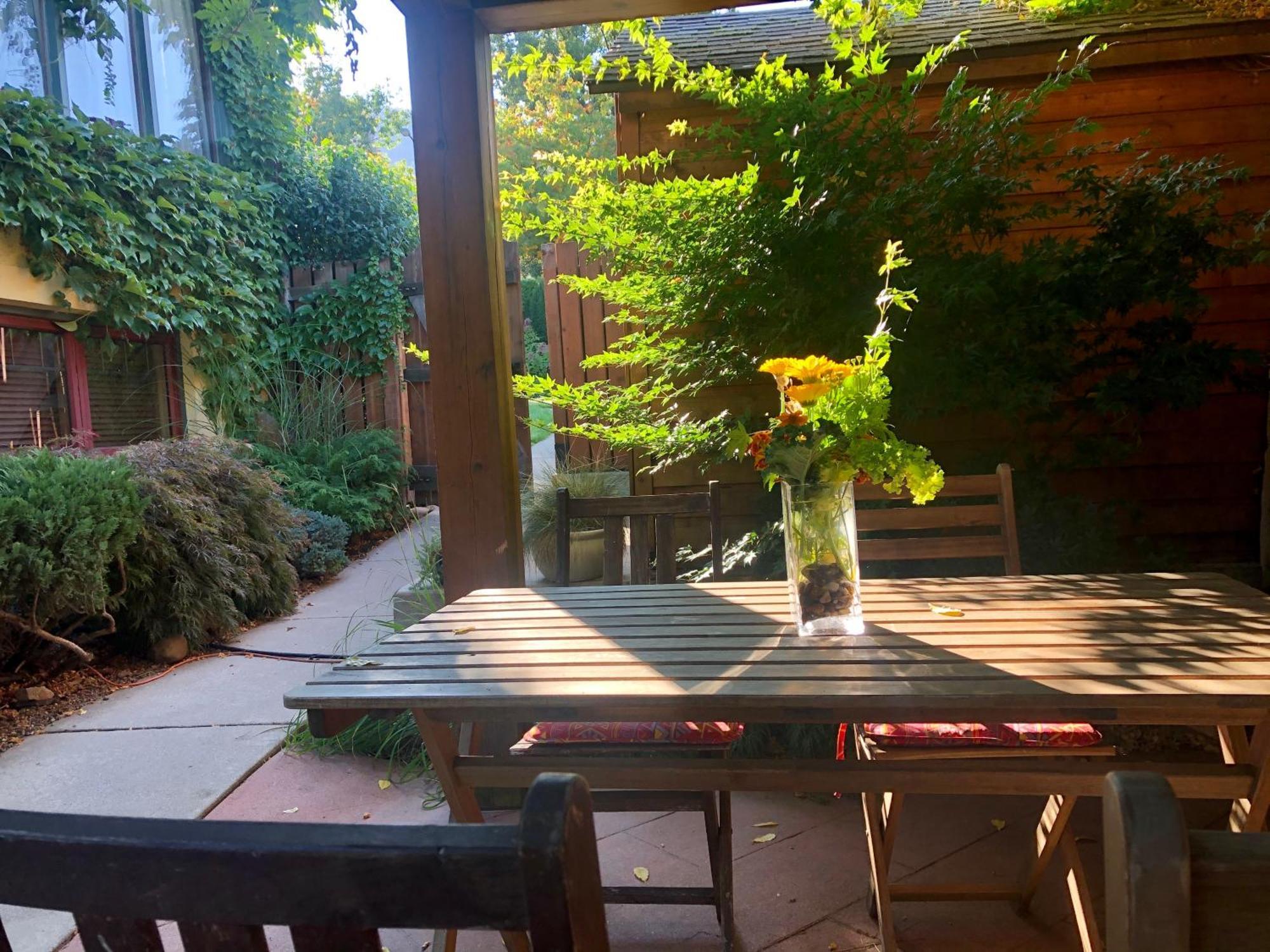 Mistisos Place Vacation Rentals Нелсън Екстериор снимка
